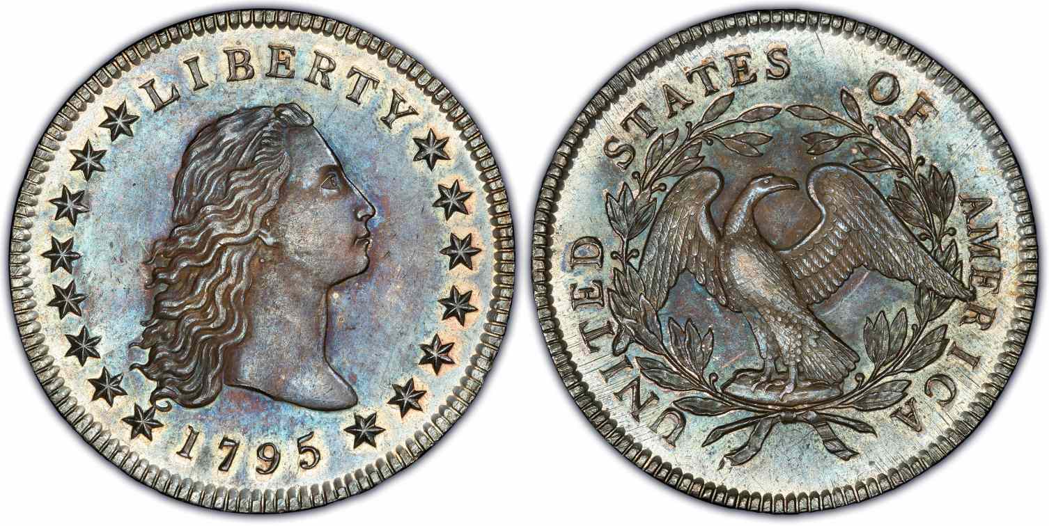 1795 Flowing Hair Dollar (Three Leaves)